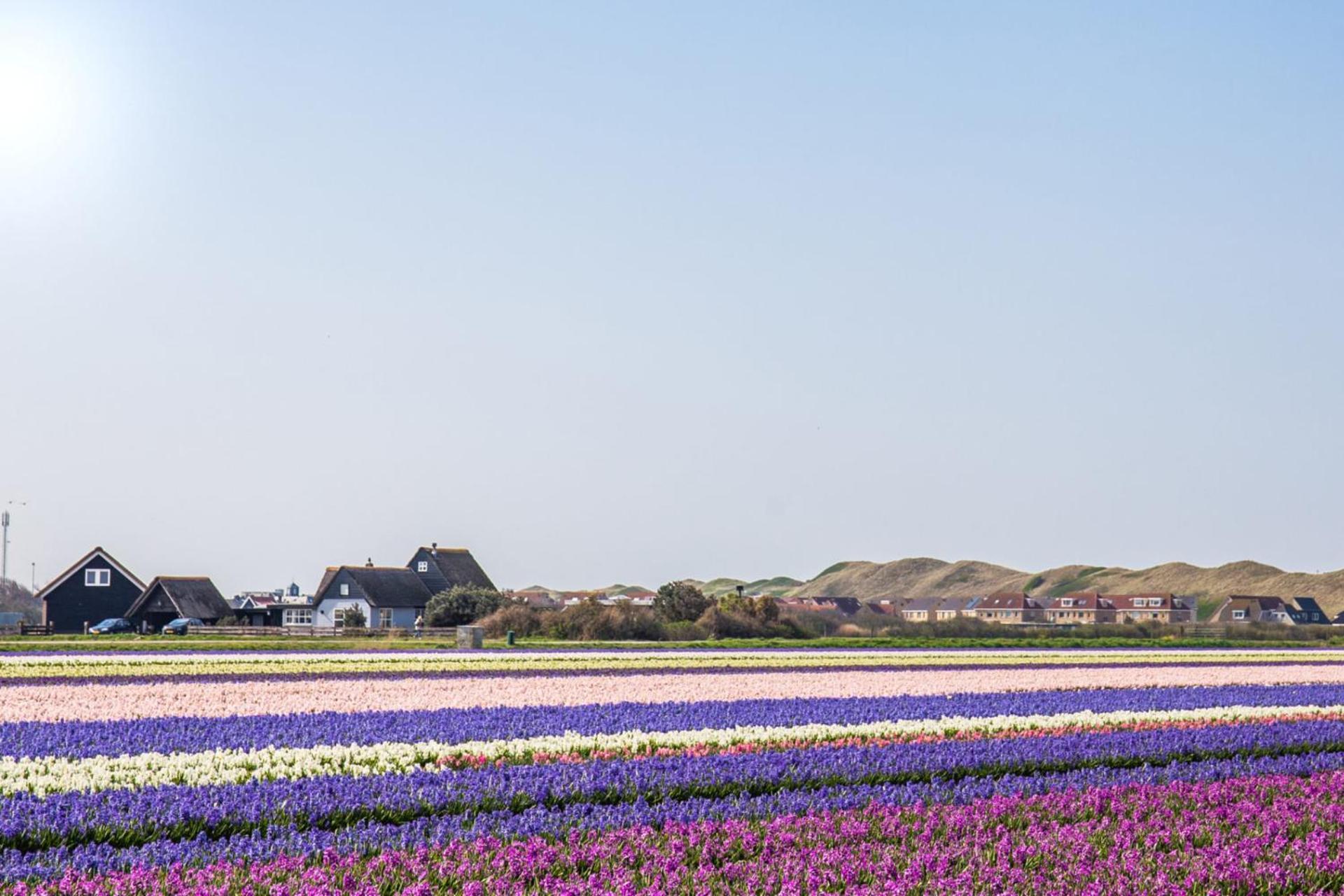 Vakantiehuis Zilt - Julianadorp Aan Zee Exterior foto